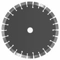 FESTOOL C-D 125 Diamond Cutting Disc for Concrete 125mm