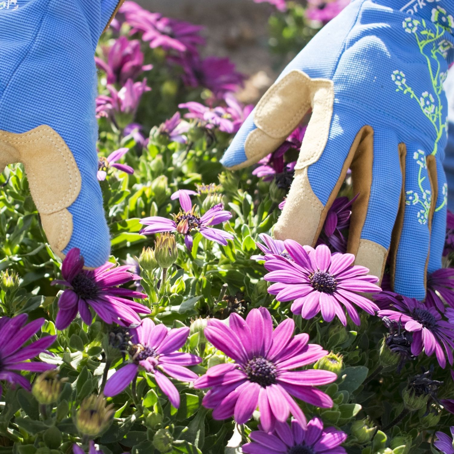 Ladies Slim Fit Medium Garden Gloves Blue