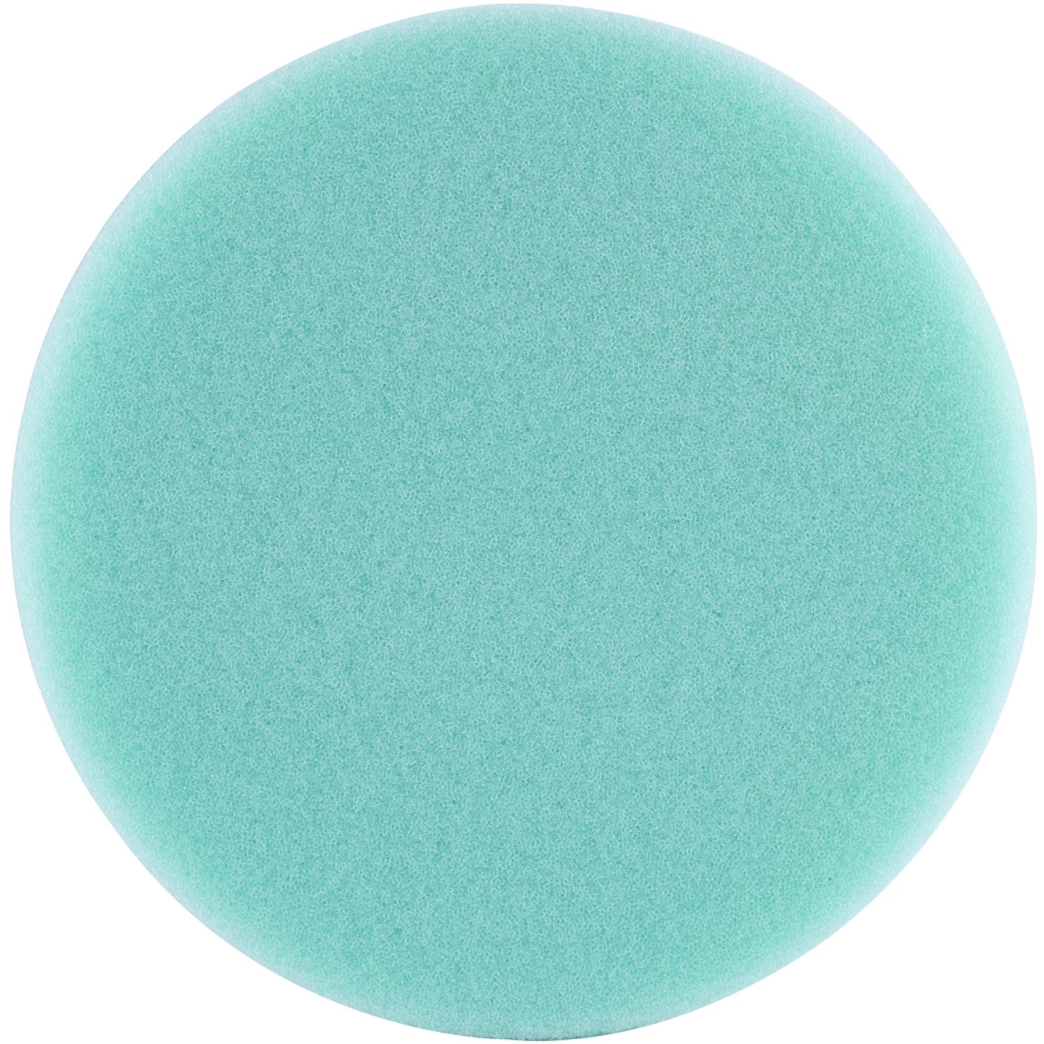 Foam Pad Hook And Loop Green Sponge 150mm 6' Light Finishing